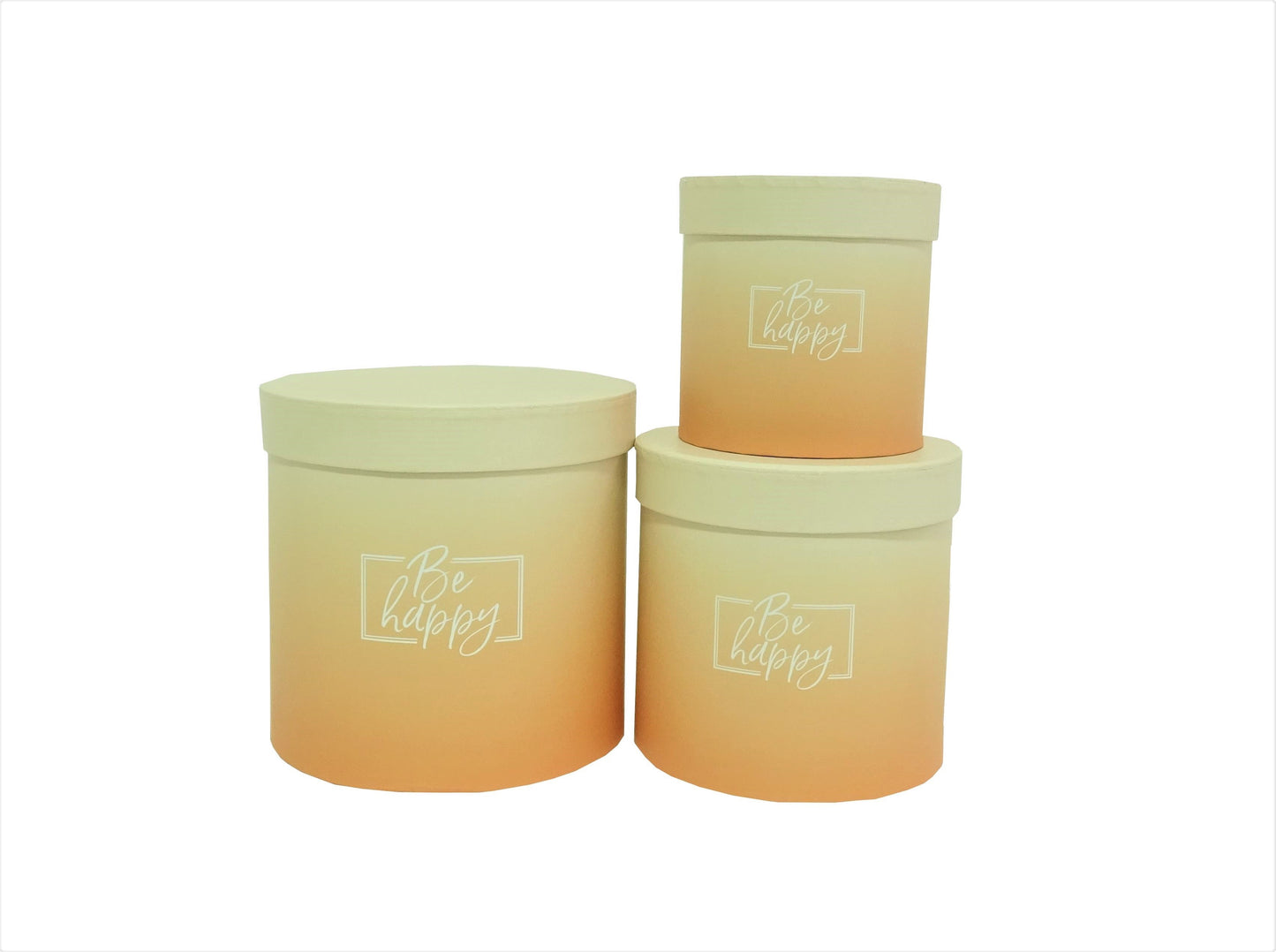 Set 3 Cutii Rotunde Degrade pentru Flori H12-H17