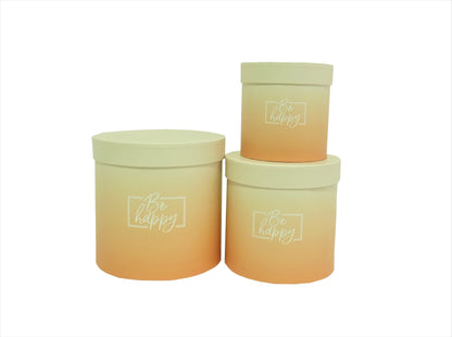 Set 3 Cutii Rotunde Degrade pentru Flori H12-H17
