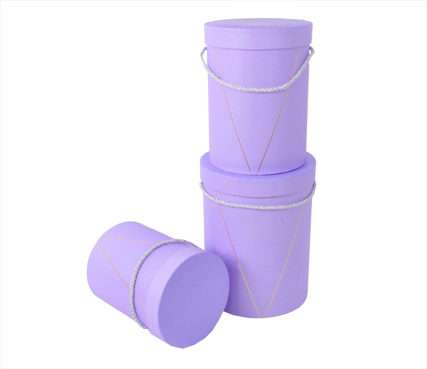 Set 3 Cutii Rotunde Uni pentru Flori H20-H24