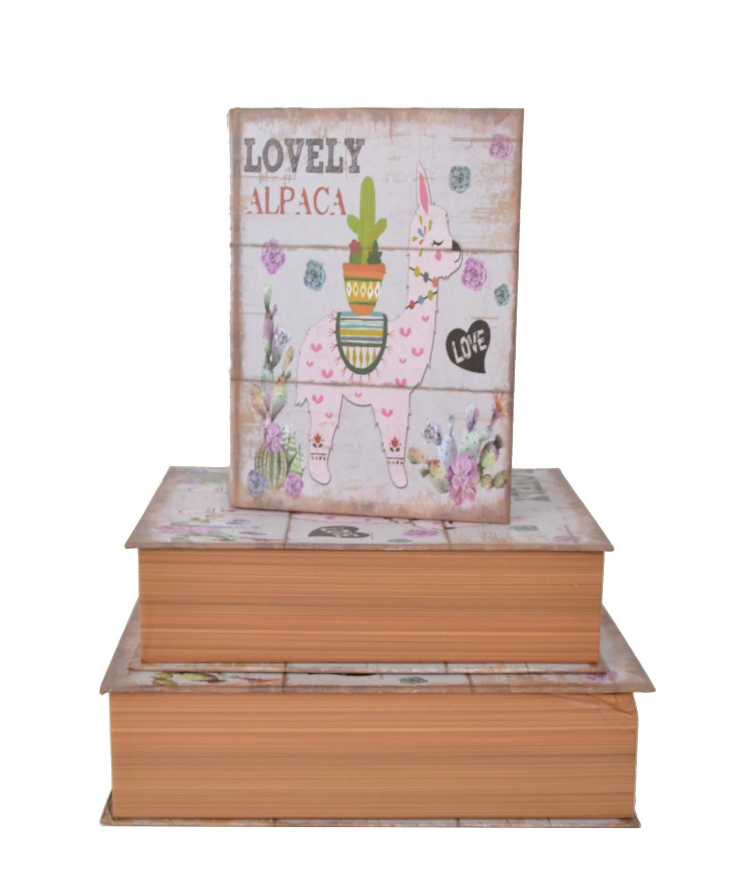 Set 3 Cutii Tip Carte cu Imprimeu H6-H8