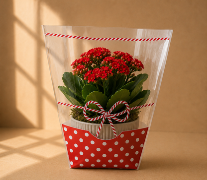 Set 100 Pungi Flori Rosii si Transparente Decorate 26 x 14 x H 20 cm