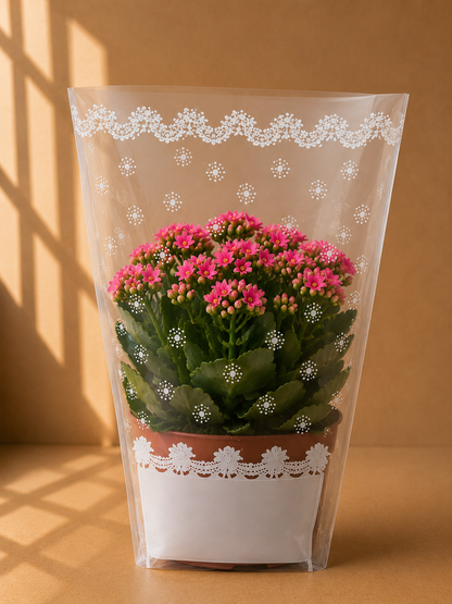 Set 100 Pungi Flori Albe si Transparente Decorate 26cm x 15cm x H20cm