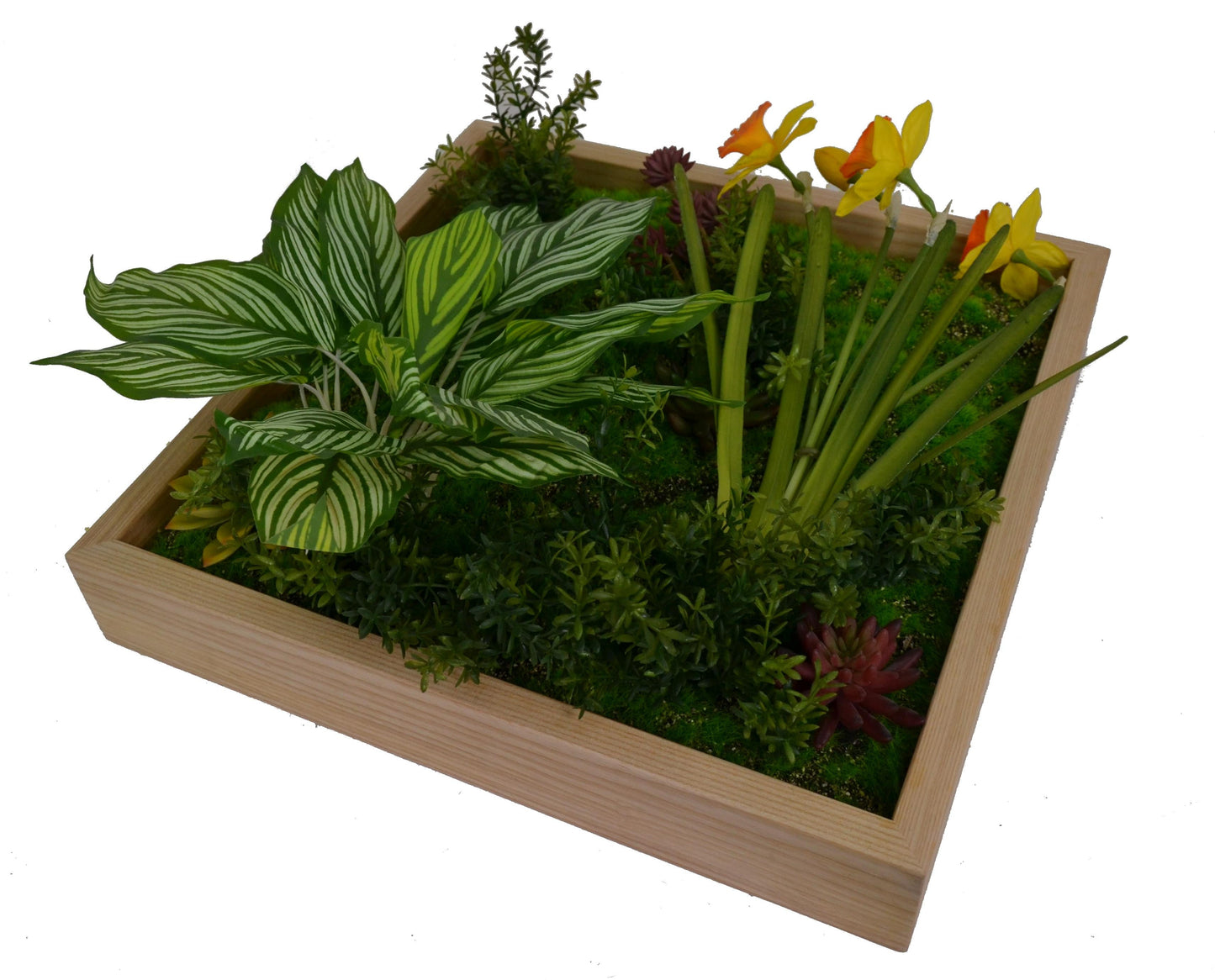 Tablou cu plante artificiale 50 x 50