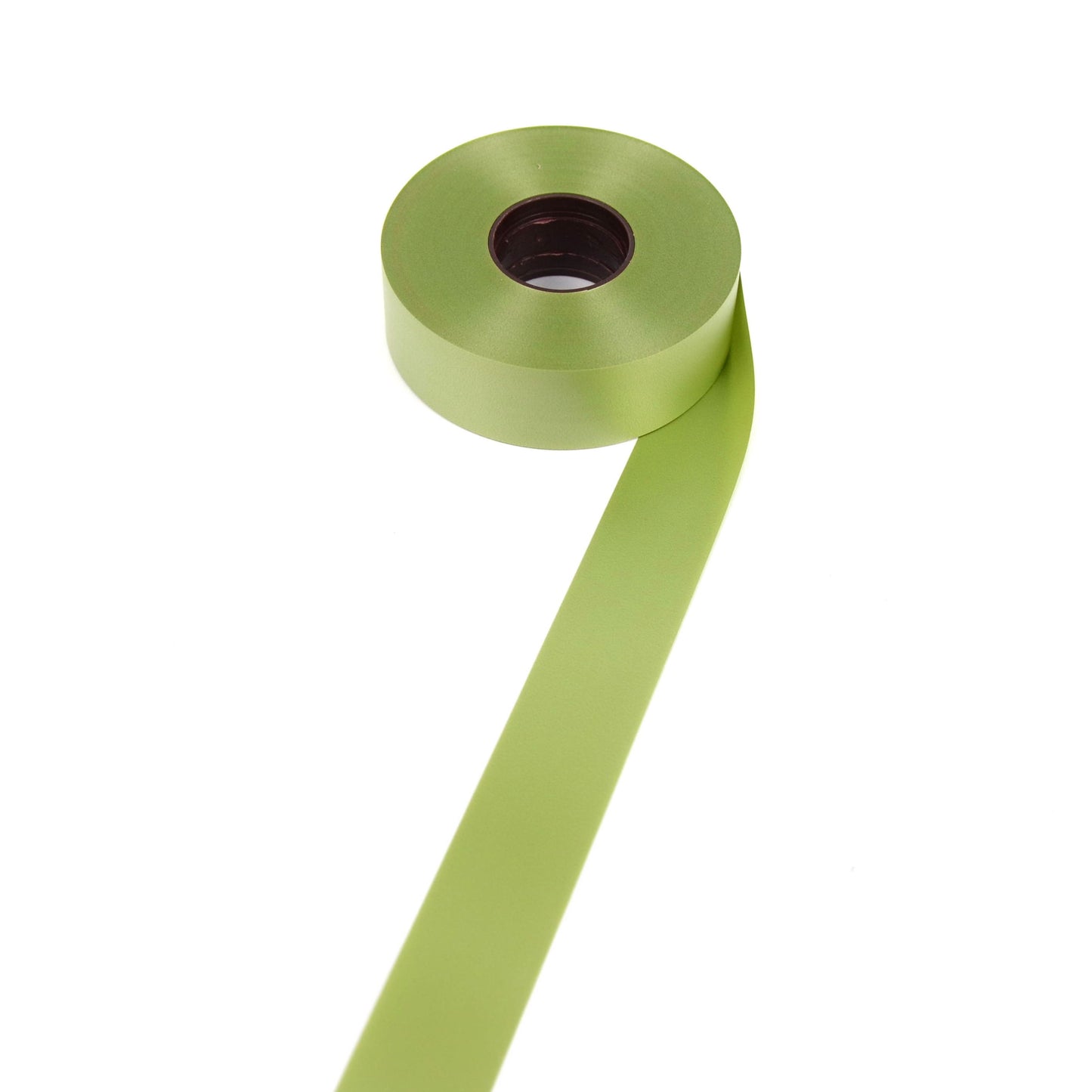 Panglica Plastic 3 cm